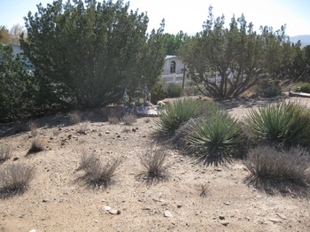 Venero,   Carlos Alfonso gravesite