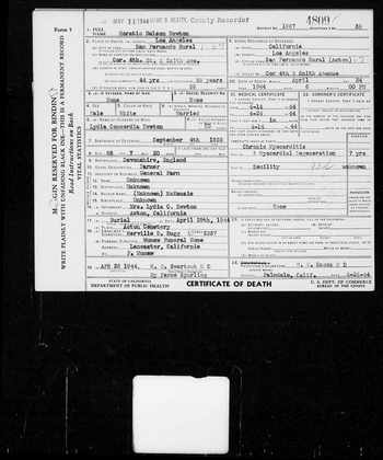 Newton,   Horatio Nelson document