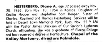 Hesterberg,   Diane Alisa obituary