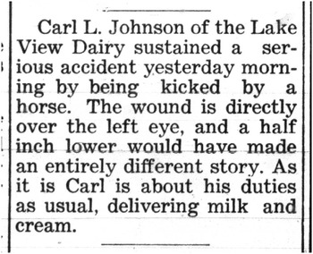 Johnson,   Carl Leonard document