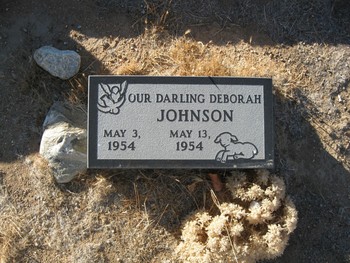 Johnson,   Deborah Kaye gravesite