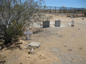 Molnar,   Nicholas gravesite