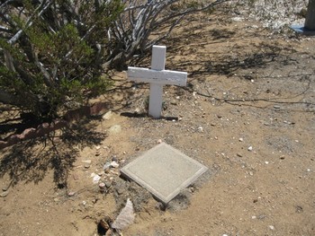 Molnar,   Nicholas gravesite