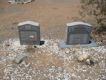 Molnar,   Nicholas gravesite