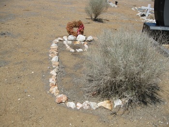 Burba,   Walter Joseph gravesite