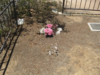 Robinson,   Nancy Jean gravesite